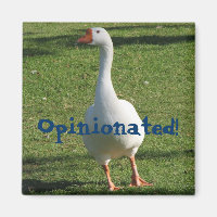 Opinionated Magnet!