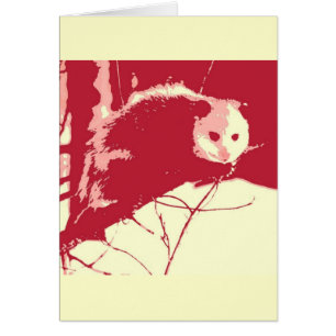 Opossum