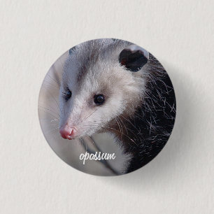 Opossum 1 Inch Round Button