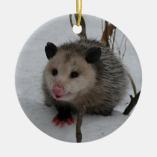 Opossum Ceramic Ornament