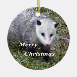 Opossum Ceramic Ornament