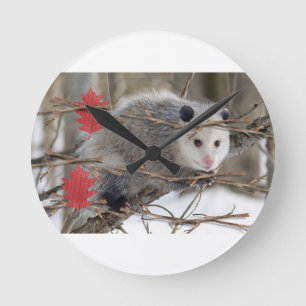Opossum Clock