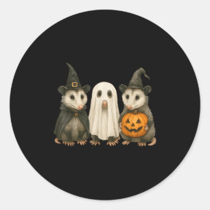 Opossum Halloween Possum Witch Ghost Pumpkin  Classic Round Sticker