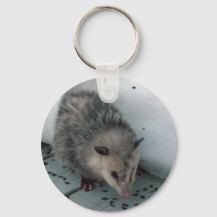 opossum keychain