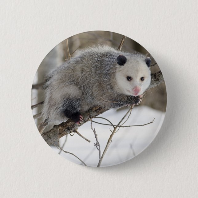 Opossum Love 2 Inch Round Button (Front)
