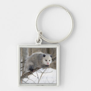 Opossum Love Keychain