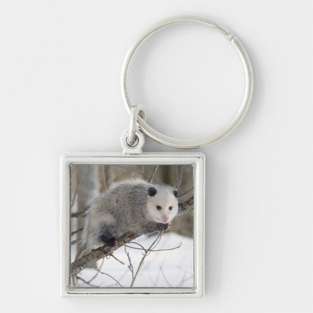 Opossum Love Keychain (Front)
