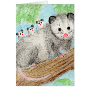Opossum Mom