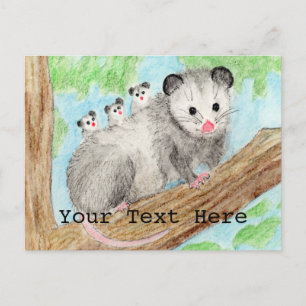 Opossum Mom Postcard
