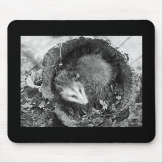 Opossum Mouse Pad