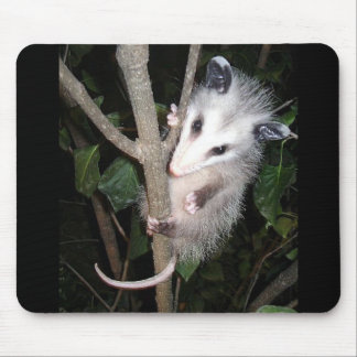 Opossum Mouse Pad
