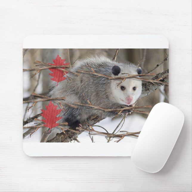 Opossum Nature White  Mouse Pad! Mouse Pad (With Mouse)