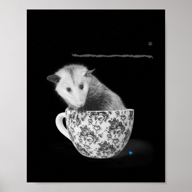 Opossums Are Your Friends  Poster (Front)