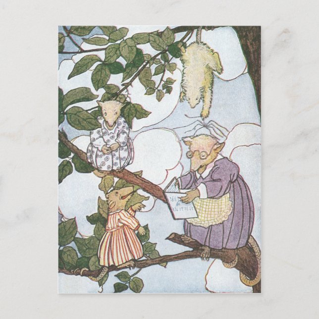 Opossums Make Reluctant Students Postcard (Front)