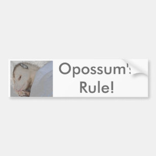 Opossum's Rule! Bumper Sticker