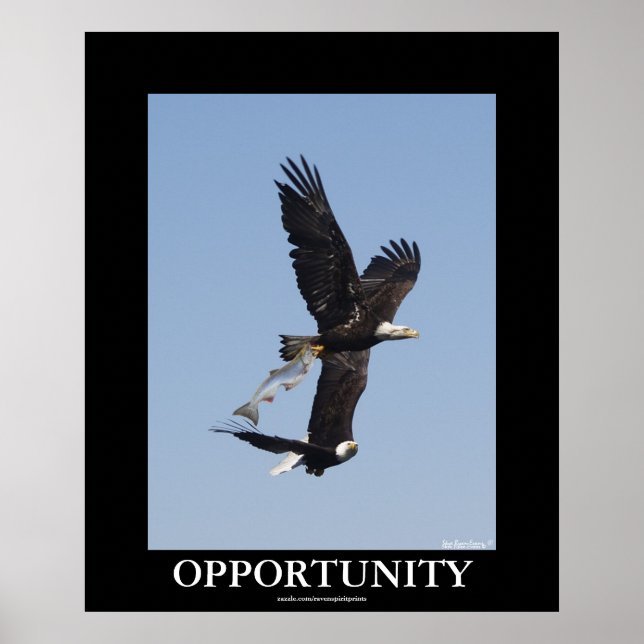 Opportunity Bald Eagles Motivational Photo Poster (Front)