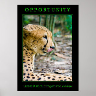 Opportunity Poster