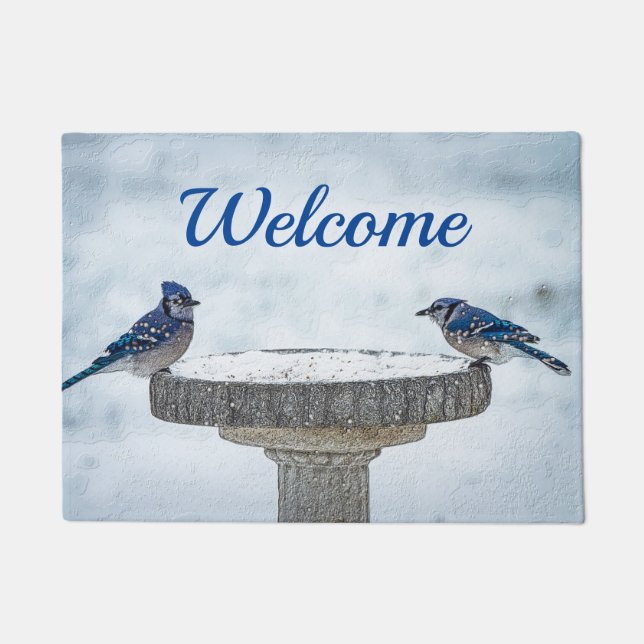 Opposite Sides Painterly Welcome Doormat (Front)