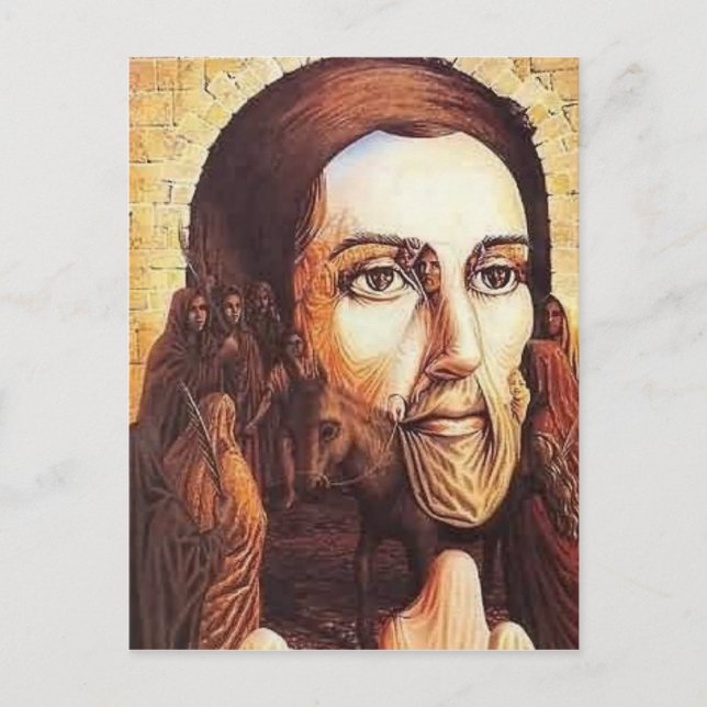 Optical Illusions Postcard (Front)