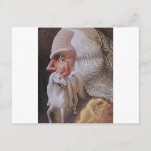 Optical Illusions Postcard