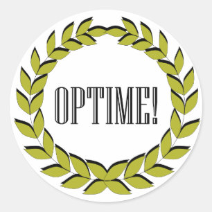 Optime! Excellent job! Classic Round Sticker