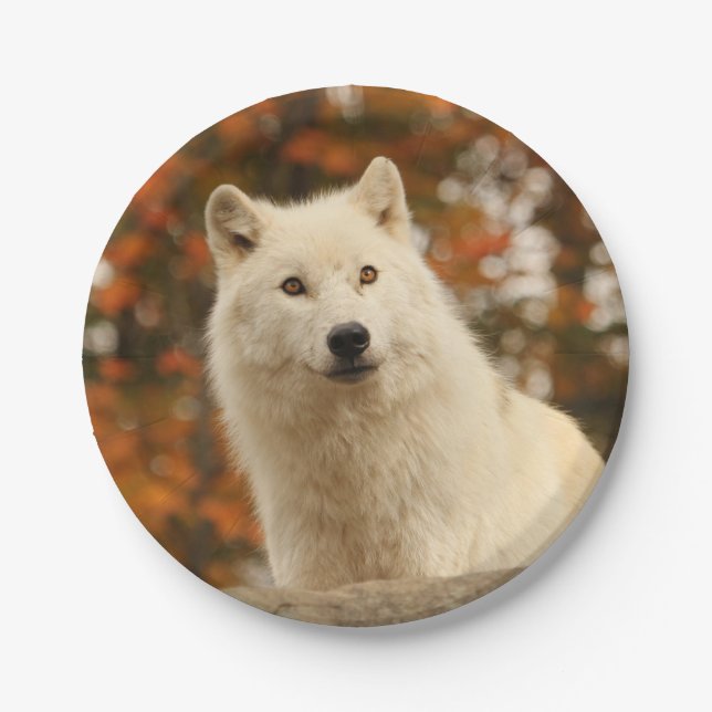 Optimism Paper Plate (Front)