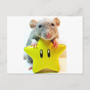 Optimus Star Postcard