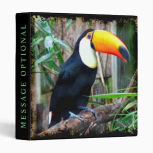 Options Toucan 5 Classeur