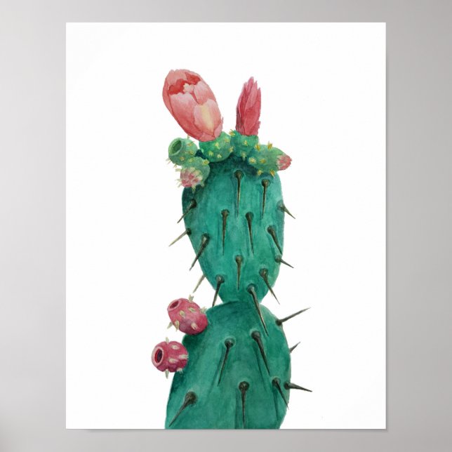 Opuntia in watercolors poster (Front)