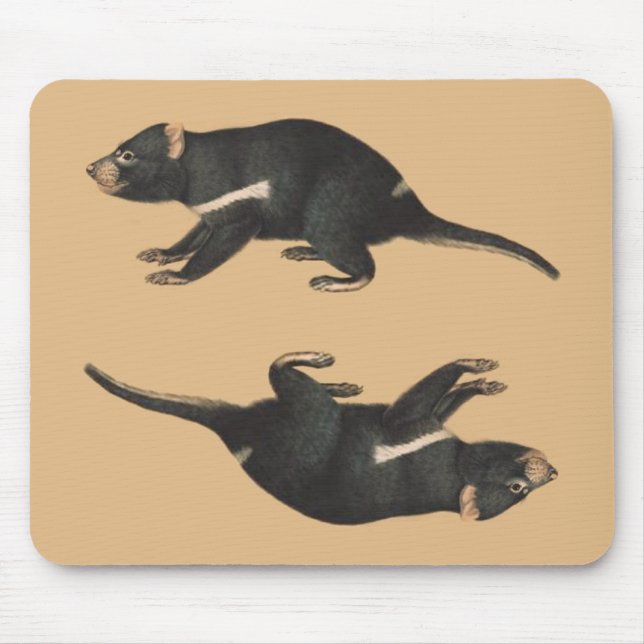 OPUS Tassie Devil: On the Edge of Extinction Mouse Pad (Front)