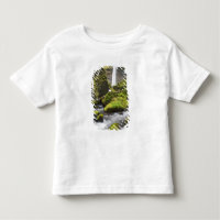 OR, Columbia River Gorge, Elowah Falls and