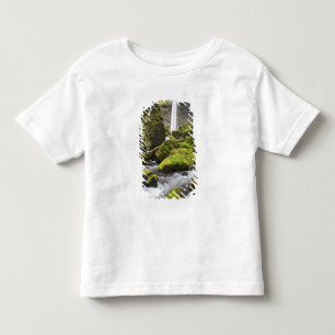 OR, Columbia River Gorge, Elowah Falls and Toddler T-shirt