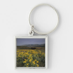 OR, Columbia River Gorge, Rowena Plateau, Tom Keychain