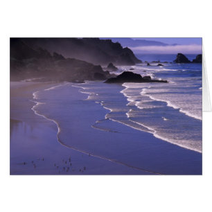 OR, côte de l'Oregon, Ecola SP, Indian Beach avec