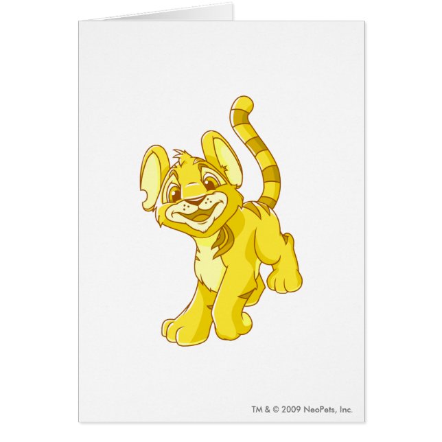 Or de Kougra (Devant)