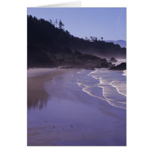 OR, Ecola SP, Indian Beach with morning fog