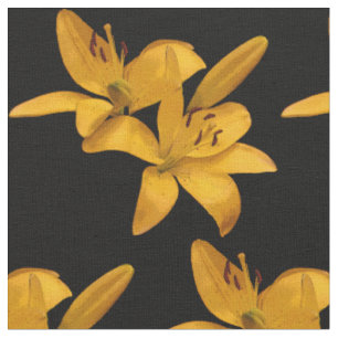 Or et tissu jaune de fleur de lis