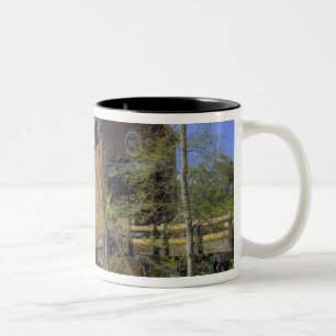 OR, Jackson County, McKee Covered Bridge 2 Two-Tone Coffee Mug