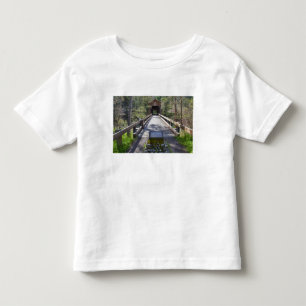 OR, Jackson County, McKee Covered Bridge Toddler T-shirt