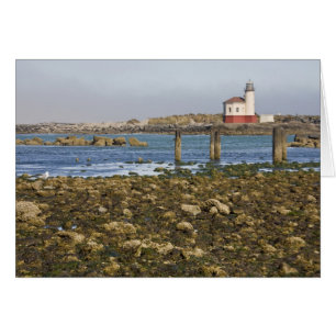 OR, Oregon Coast, Bandon, Coquille River