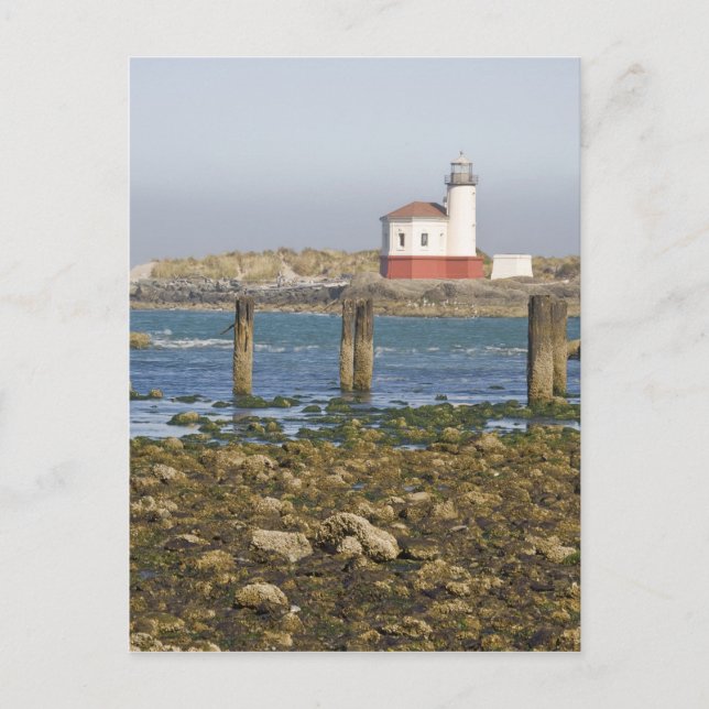 OR, Oregon Coast, Bandon, Coquille River 2 Postcard (Front)