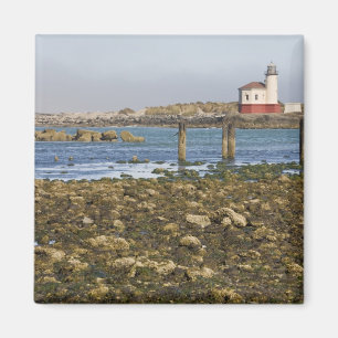 OR, Oregon Coast, Bandon, Coquille River Magnet