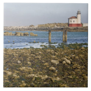 OR, Oregon Coast, Bandon, Coquille River Tile