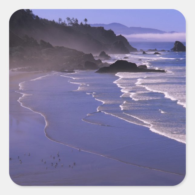 OR, Oregon Coast, Ecola SP, Indian Beach with Square Sticker (Front)