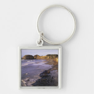 OR, Oregon Coast, Newport, shoreline at Seal Keychain
