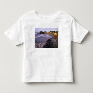 OR, Oregon Coast, Newport, shoreline at Seal Toddler T-shirt