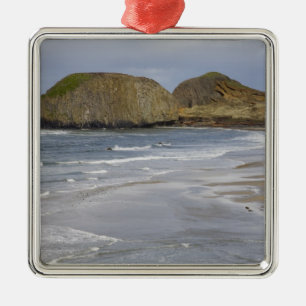 OR, Oregon Coast, Seal Rock State Park, Metal Ornament