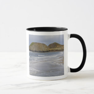 OR, Oregon Coast, Seal Rock State Park, Mug