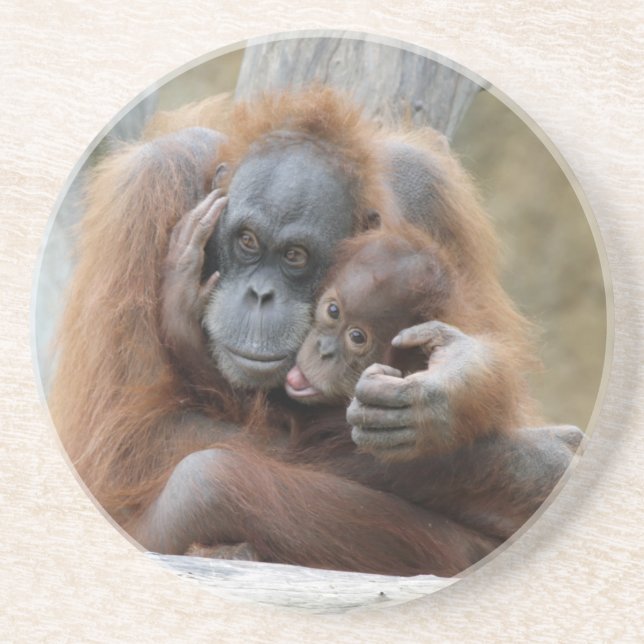 Orang Utan 001 Coaster (Front)
