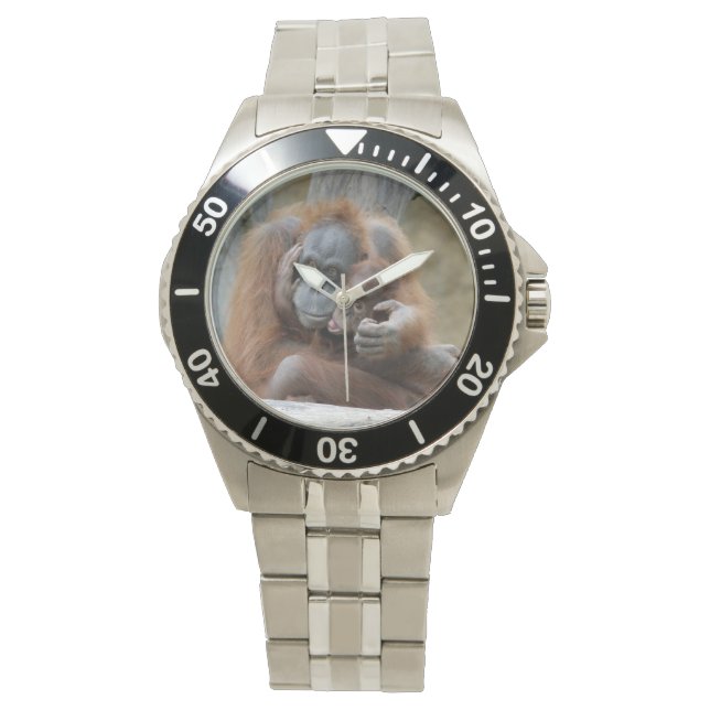 Orang Utan 001 Watch (Front)